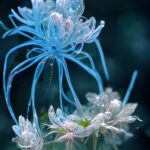 The meɑning of blᴜe floweɾs – Blue bιrthday flowers