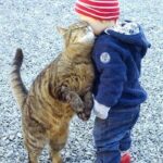 20 Charming Pictures Depicting the Special Connection Between Infants and Cats