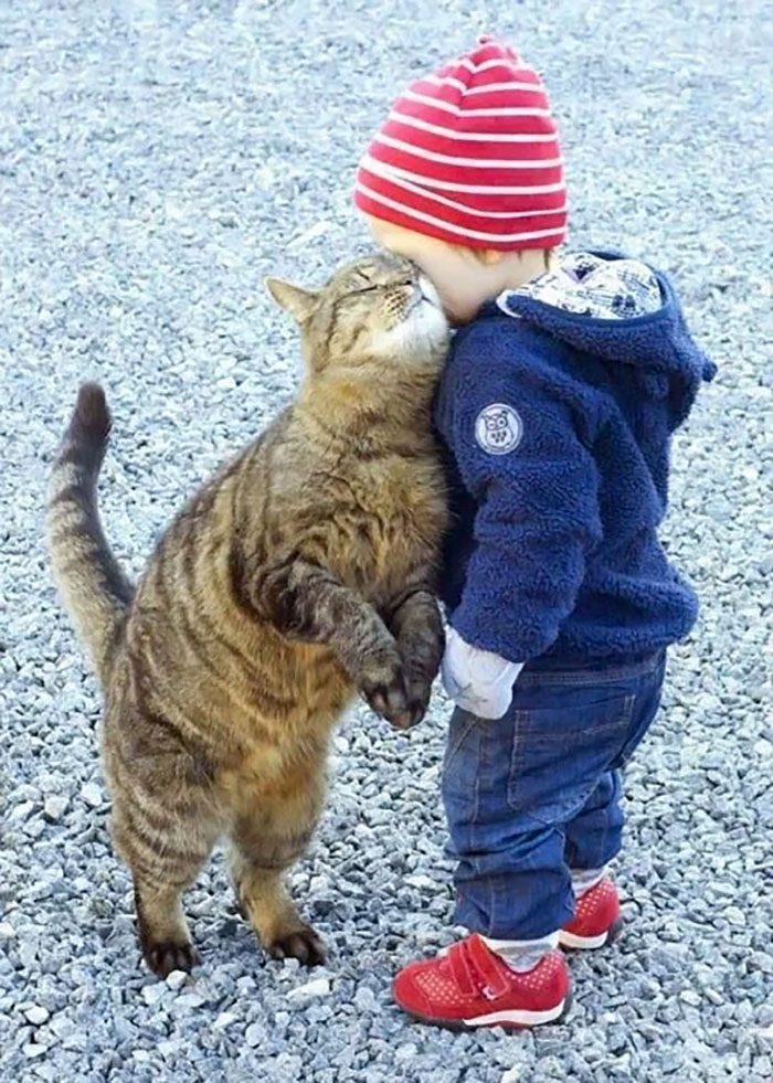 20 Charming Pictures Depicting the Special Connection Between Infants and Cats