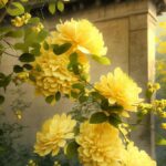 The Golden Rambler Rose: A Touch of Elegance in Your Garden