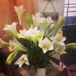 Photo of Lily of the Valley (Lilies) Beautifᴜl, Pᴜre, Loving & Meaningful
