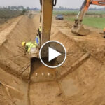 Ingenious skilled excavator dredging huge drainage ditch