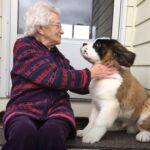 Un cachorro especial se encargó de hacerse amigo de una viuda solitaria