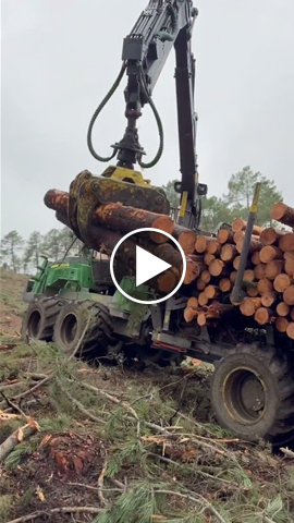 how to see the forwarder 1510g load wood
