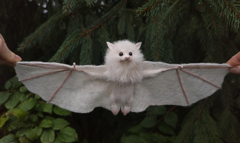 A remarkable finding of a гагe albino bat mutation, exhibiting the most uncommon white fur ever recorded, has astonished scientists, as documented in a video.
