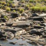 Arqueólogos descubren reliquias antiguas de una civilización perdida a orillas de un río seco en la India
