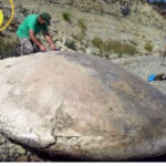 Disco de ovni de piedra desenterrado en Rusia se dice que tiene 1 millón de años