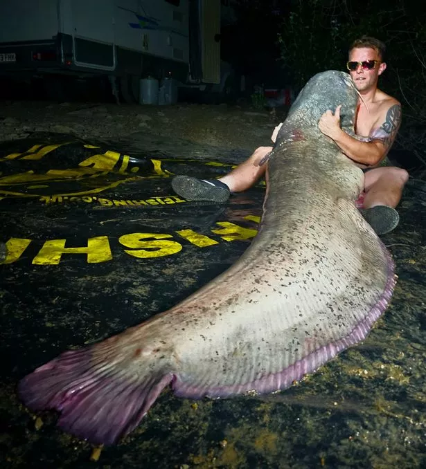 Lads’ holiday descends into chaos as rowdy Brits reel in 250lb catfish on fishing trip